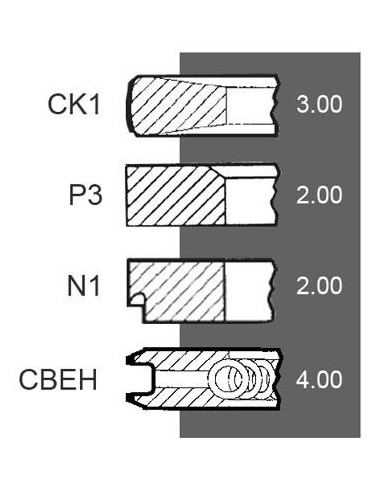 Segmenti Piston Ø 105 - 3x2x2x4 mm F285200310100, 800019910000