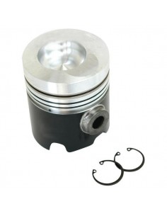 Piston 101.6 mm. No. of Rings 4. 58898