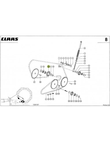 Pinion 19,05X21Z Claas