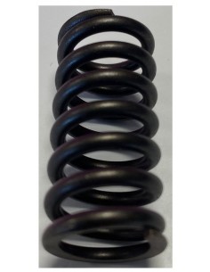 Arc Presiune Injector 2.4639.090.5, 3414619005, 246390905, 840852, 49055400