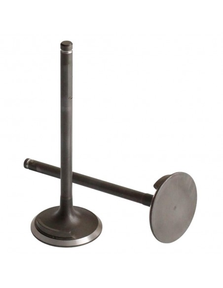 Supapa Admisie Ø 48.40 mm 4821709, 4821710, 8824754, 4798426, 75224947, 153624388