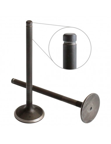 Iveco 153624389, 153625962, 4821711, 8825776, 8830045