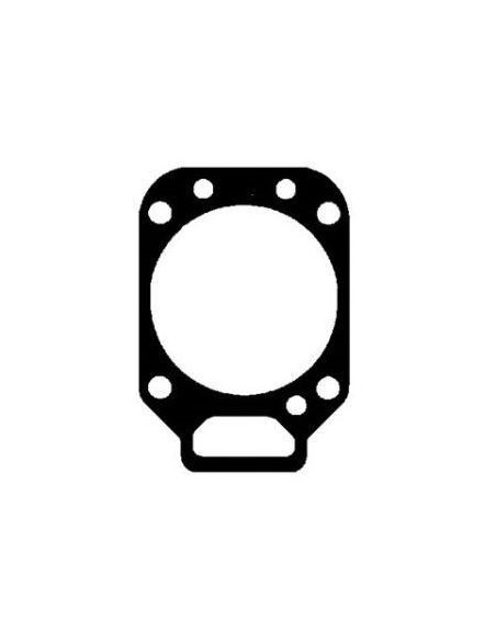 Garnitura Chiulasa 113.5 mm F385202210010 F385202210010
