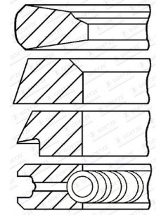 Segmenti Piston Ø 100-3x2x2x4 mm F281202310021, F281202310040, F281202310050, Renault 7701032429, 7701201833 2