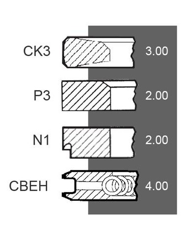 Segmenti Piston Ø 100-3x2x2x4 mm F281202310021, F281202310040, F281202310050, Renault 7701032429, 7701201833