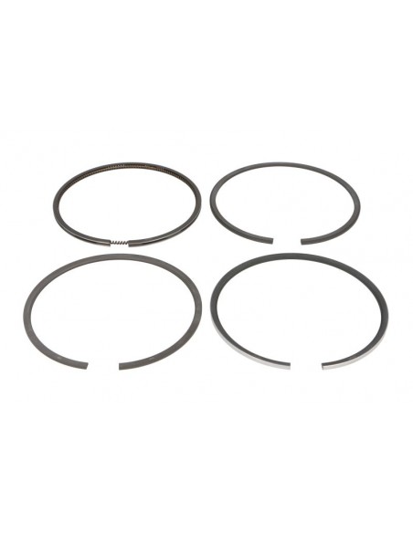 Segmenti Piston Ø 100-3x2x2x4 mm F281202310021, F281202310040, F281202310050, Renault 7701032429, 7701201833