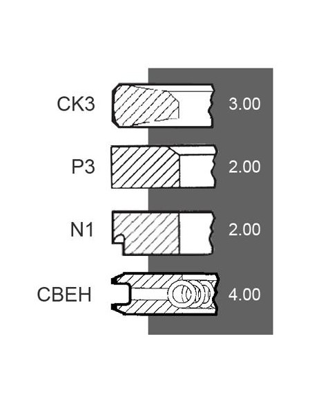 Piston Ring Ø 100-3x2x2x4 mm F281202310021, F281202310040, F281202310050, Renault 7701032429, 7701201833
