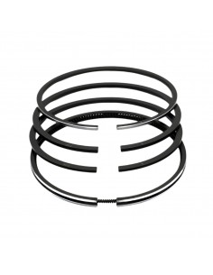 Piston Ring Set Ø 98-2.5x2.5x2.5x5 mm (+1.00)