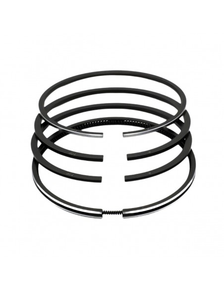 Segmenti Piston Ø 98-2.5x2.5x2.5x5 mm (+1.00)