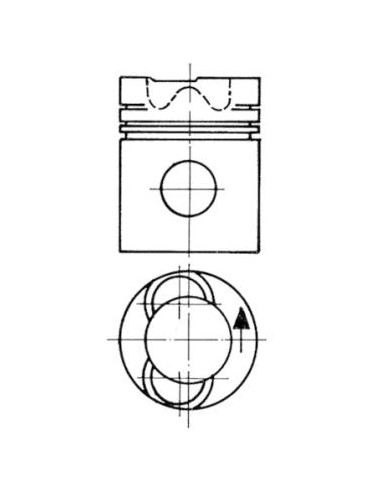 Piston 102 mm cu Segmenti 94724700