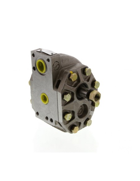 Hydraulic Pump 110509C91, 128180C91, 308873A1, 327987A1, 327988A1, 406763R91, 406763R92, 406827R91, 550132825, 66513C91, 66513C9