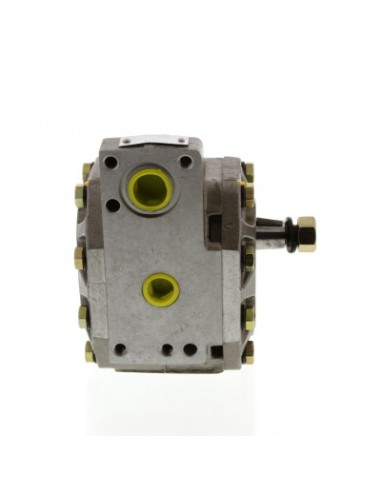 Hydraulic Pump 110509C91, 128180C91, 308873A1, 327987A1, 327988A1, 406763R91, 406763R92, 406827R91, 550132825, 66513C91, 66513C9