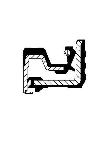 Simering 70x95x13/14.5 mm VPJ6622