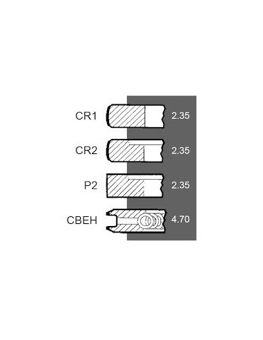 Segmenti Piston Ø 111.76 mm +0.030" Ford New Holland 81814545, 83917470, 3917470, 87295224, CFPN6149BE, DJPN6149Y
