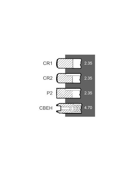 Ring Set Ø 111.76 mm +0.030" Ford New Holland 81814545, 83917470, 3917470, 87295224, CFPN6149BE, DJPN6149Y