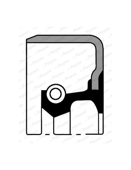 Simering 57.2x76.2x12.7 mm PAYEN NA736 Simering 57.2x76.2x12.7 mm PAYEN NA736