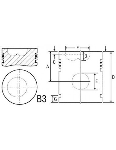 Piston cu Segmenti Ø 105 mm STD SLH 1053P-1056P 004600606