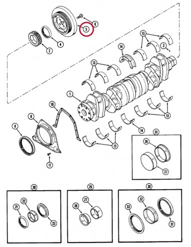 Amortizor Vibratii Arbore 245 mm Case IH J914456, J912681, J910907, 75204967