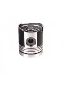 Piston 101.6 mm Deutz-Fahr 04159904, 02137974