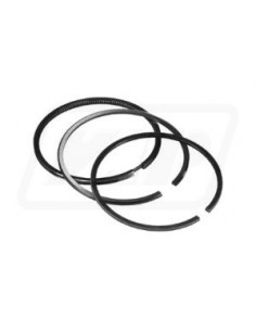 Segmenti Piston Ø 100 - 2.94x2.55x5 mm 04156566