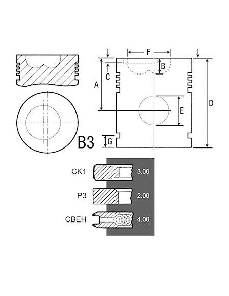 Piston Ø 105 mm - Cu Segmenti F383200310030