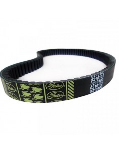 R568198, R222393, 84196804, 0210103, 0100187, AP1005348