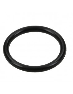 O-Ring T77932