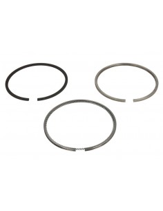 Segmenti Piston Ø 100 - 3.5x2.5x4 mm 4181A026, 3641316M91, 3640594M91, 4181A025, 4181A023, 02-200020, 02-201140, 02/200315