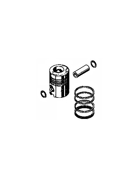 Piston cu Segmenti 95.88 mm 0.002.7982.4