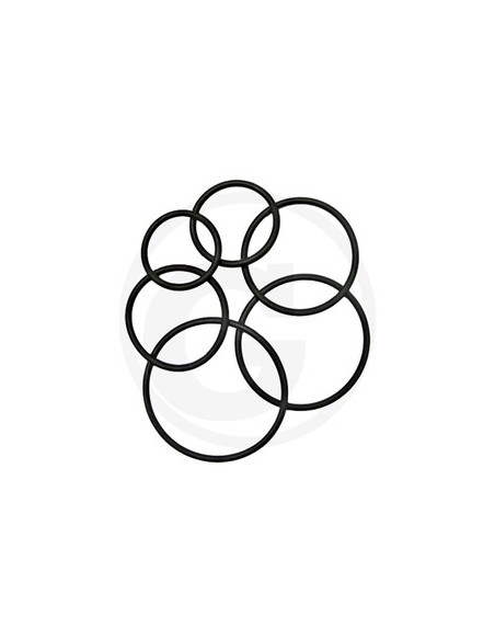 O-Ring Ø 9x5x3 mm 570009.0X3.0/10