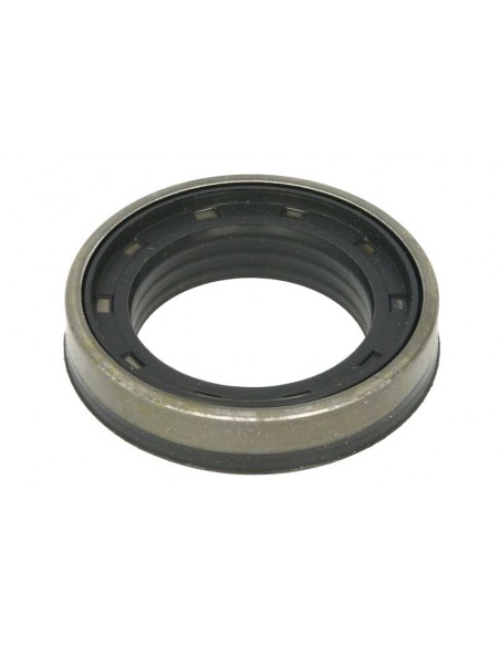 Simering 45x70x14/17 mm 0533965R1, 053965R1, 247519A1, 3765528M1, 3785500M1, 533965R1, 53965R1, 6300161M1, 84295344, 132741,