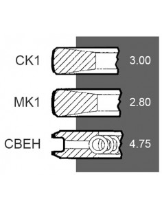 Segmenti Piston Ø 111.76 Ford New Holland 87802459, 82850188, 87801090, F3NN6149EA 2