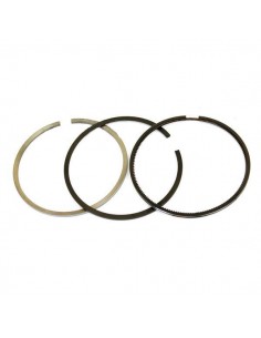 Segmenti Piston 101.80 2.85x2.34x3.97 mm 59548