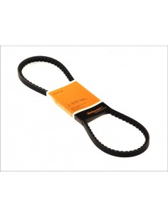 Belt AVx13x900 mm Fendt X696623200000, X696.623.200.000, J57234, Z48472, XZ48472,