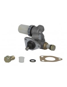 Fuel Pump 87800631, 0440008110, 0440008109, FP/KG24P218, FPKG24P218 2