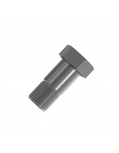 Surub 15.875x50.800 mm 19H1734 19H2706