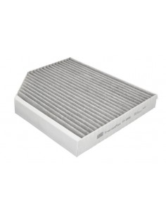 Filtru Aer Polen Mann-Filter FP2450