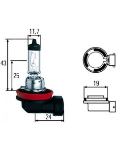 Halogen H11 12V 55W PGJ19-2 2