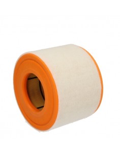 Filtru Aer Motor C15010 2