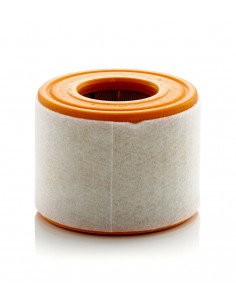 Filtru Aer Motor C15010