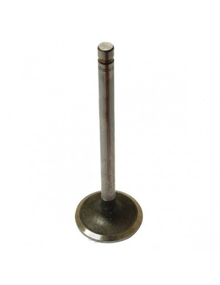 Supapa Admisie Ford New Holland 81824116, 81842754, 81865609, 83912901, 83912953, 87295255, 87800386, 87802264, D0NN6507J, D3NN6