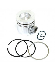 Piston cu Segmenti Ø 102 mm 59550