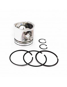 Piston cu Segmenti + 0.040''-1.02 mm 102 mm  (Fara Bolt) 3802064