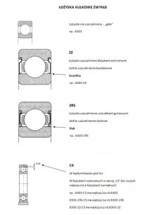 Rulment 25x52x15 mm SKF 6205 2