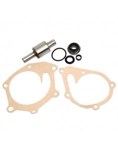Kit Reparatie Pompa Apa Case IH, David Brown K965877, K965888