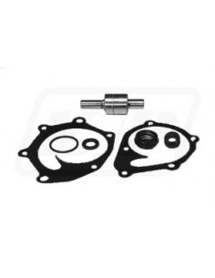 Kit Reparatie Pompa Apa Case IH, David Brown K965877, K965888