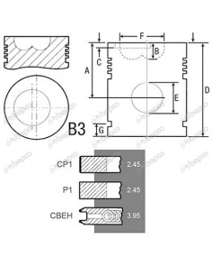 PISTON WITH RINGS Ø 100 MM - STD Steyr 2