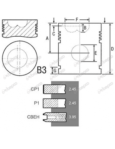 PISTON WITH RINGS Ø 100 MM - STD Steyr
