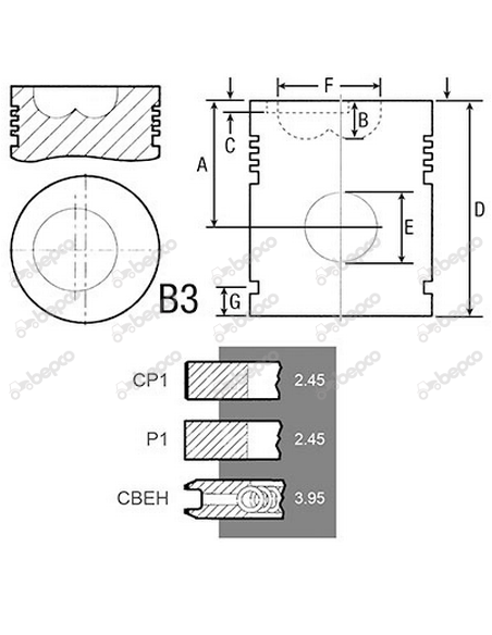 PISTON WITH RINGS Ø 100 MM - STD Steyr