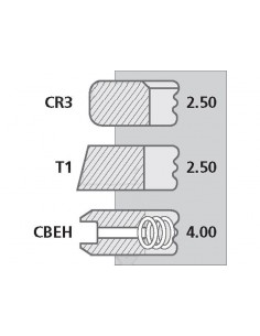 Piston Ring Set Ø 100-2.5x2.5x4 mm 2